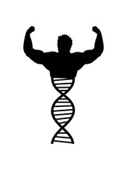 stark muskeln bodybuilder mensch fitness dna forscher wissenschaft gene spirale labor biologie biologe lernen untersuchen erbinformation vererben dns sequenz genbank erforschen