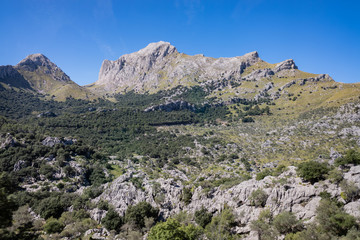 Fototapeta na wymiar Sierra de Tramuntana, isla de Mallorca. Islas Baleares, España.