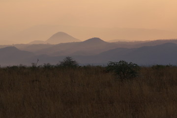 Savannah in Murchinson falls National Park in Uganda. Sunset in wild nature close to the border with Congo.