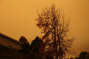 Fototapeta premium california wildfires