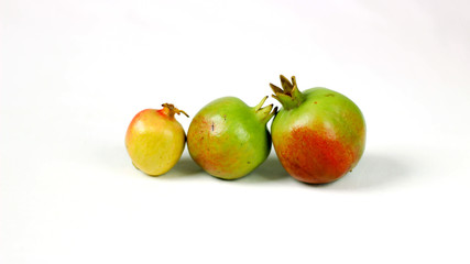 Fresh pomegranate isolated on white background with clipping 