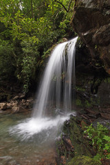 Obraz premium Grota Falls wczesnym latem w Parku Narodowym Great Smoky Mountains w stanie Tennessee.