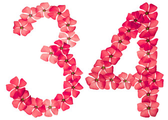 Numeral 34, thirty four, from natural red flowers of periwinkle, isolated on white background
