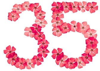 Numeral 35, thirty five, from natural red flowers of periwinkle, isolated on white background