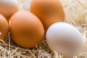 Two white and three brown eggs on the background of hay.