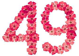 Numeral 49, forty nine, from natural red flowers of periwinkle, isolated on white background
