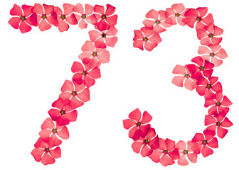 Numeral 73, seventy three, from natural red flowers of periwinkle, isolated on white background