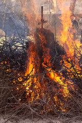Flaming fire. Burning tree branches. Pagan rite dedicated to the arrival of spring. Big bonfire on Shrovetide. 