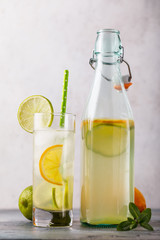 Tonic drink with lemon and lime in a transparent glass with an open bottle on the table, close-up