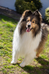 Closeup Mia Portrait