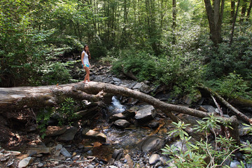 A young woman stands on a log by a creek in the Great Smoky Mountains National Park, Tennessee, in early summer.
