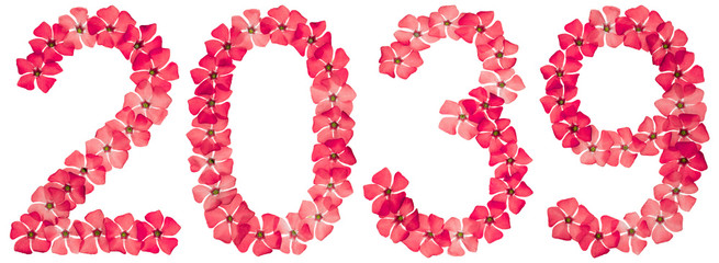 Inscription 2039, from natural red flowers of periwinkle, isolated on white background