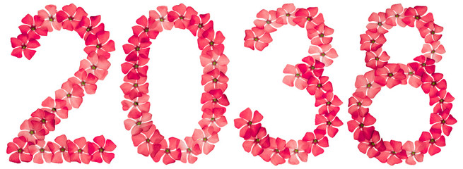 Inscription 2038, from natural red flowers of periwinkle, isolated on white background