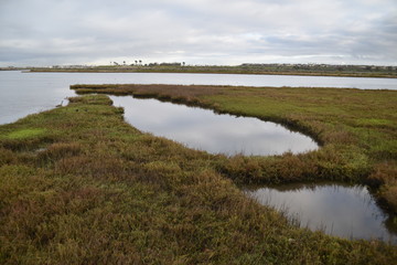 Huntington Beach, CA., U.S.A. Mar. 3, 2019. Bolsa Chica Ecological Reserve.  Tidal estuary, fresh/salt water marsh, mud flats, water/riparian fowl habitat & rookery for California least tern