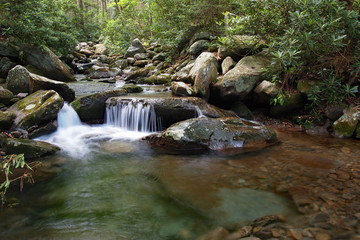 Trailside creek in the Great Smoky Mountains National Park, Tennessee, in early summer.