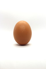 Egg on white background