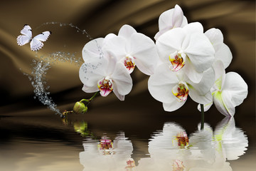 3d wallpaper, orchids reflected in water on silk background. Flower theme - this is a trend in design. Celebration 3d background.