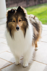 Closeup Mia Portrait