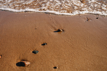 Fototapeta na wymiar wet little stones on brown sea sand background pattern with empty copy space