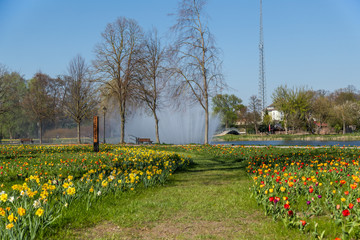 Blumenstadt Wittstock