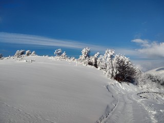 Bonitos Paisajes de invierno con monte y árboles cargados de nieve en pueblo de Parva, Rumanía,Transilvania