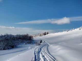 Fototapeta na wymiar Bonitos Paisajes de invierno con monte y árboles cargados de nieve en pueblo de Parva, Rumanía,Transilvania