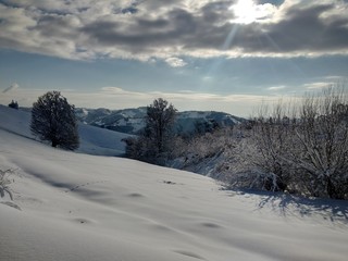 Bonitos Paisajes de invierno con monte y árboles cargados de nieve en pueblo de Parva, Rumanía,Transilvania
