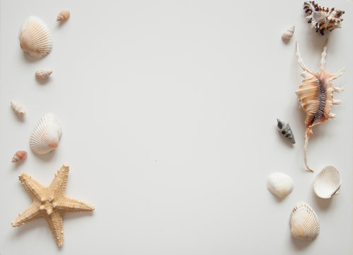 White light background with seashells and sea stars for the site frame for text. Journey to the sea is a memory.