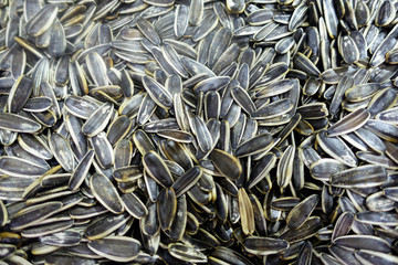Sunflower seeds white and black