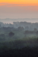 Mystical view from top on forest under haze at early morning. Mist among layers from tree silhouettes in taiga under warm predawn sky. Morning atmospheric minimalistic landscape of majestic nature.