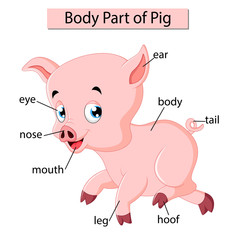 Diagram showing body part of pig