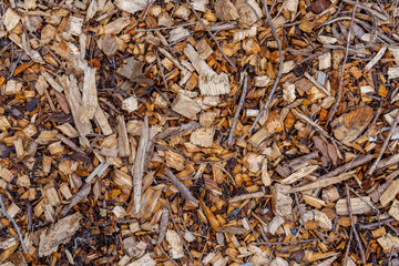 Background texture of natural, tree wood chip mulch ground cover looking head down, bird's eye view.