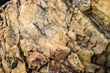 Natural Rock Texture
