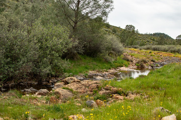 Fototapeta na wymiar Central California River Landscape