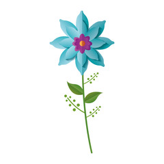 Fototapeta premium flower stem leaves
