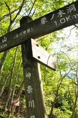 新緑の後沢乗越