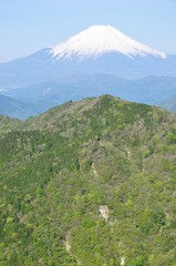山の緑に富士山