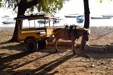 A typical yellow horse-drawn carriage on Gili Trawangan Island, Lombok, Indonesia