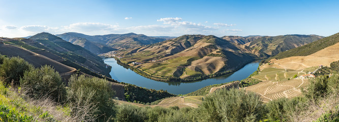 View of the terraced vineyards in the Douro Valley © homydesign