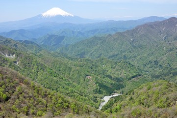 塔ノ岳からの展望 新緑と富士山