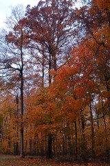 Fototapeta premium path2colors