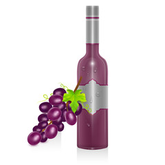 Bottle of red wine and bunch of grapes isolated on white background, Vector illustration in realistic style