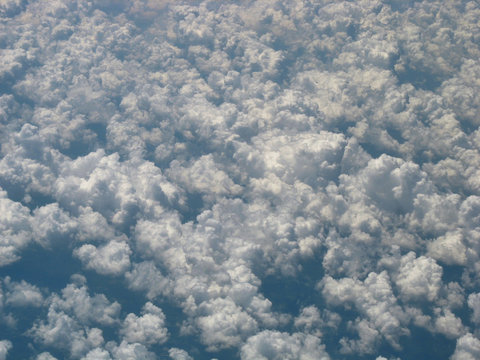 Puffy Cumulus Clouds From Above