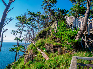 【静岡県伊豆半島ジオパーク】夏の西伊豆黄金崎【遊歩道】