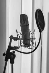 studio microphone, anniversary edition