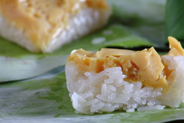 Sticky rice with steamed custard in thai food