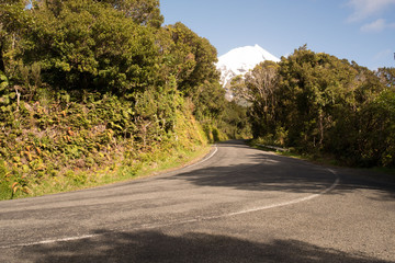 view of Mt Tarakanki Egmont driving through the National Park