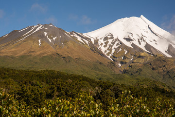 view of Mt Tarakanki Egmont driving through the National Park