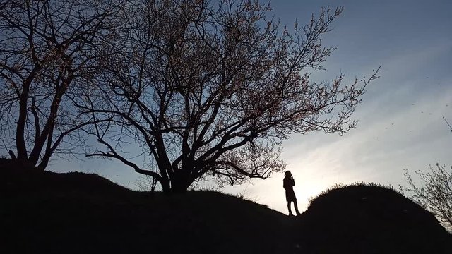 The silhouette of a young graceful girl on the background of evening sky smokes and walks along the hill. Trees, tobacco smoke, nerve waiting.