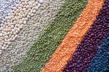 A mix of colored beans arranged by diagonal strips from white, green and orange to red and black. Top view